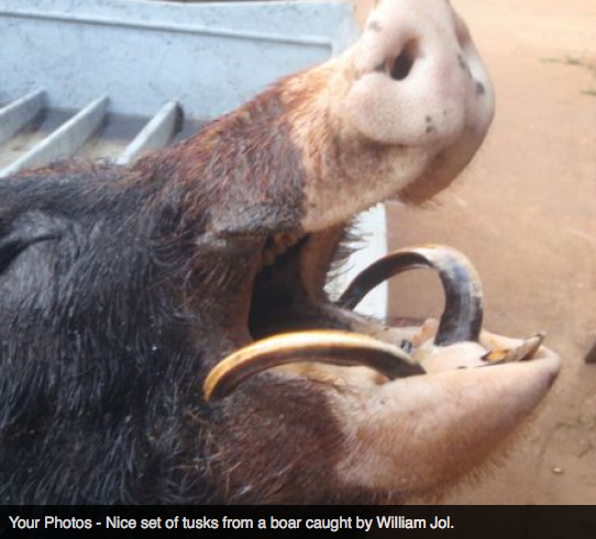 Screen Shot 2013-10-02 at 1.39.39 PM